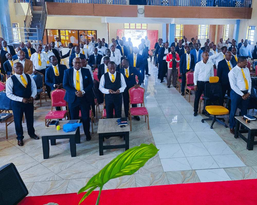 wisemen-elementor-io-optimized